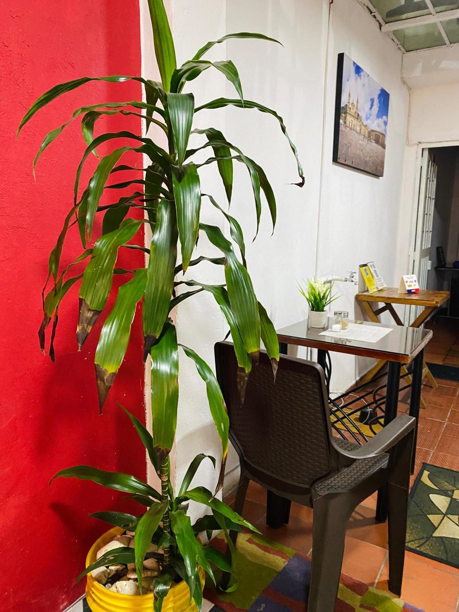 Bogota Kings 101 Hotel Exterior photo